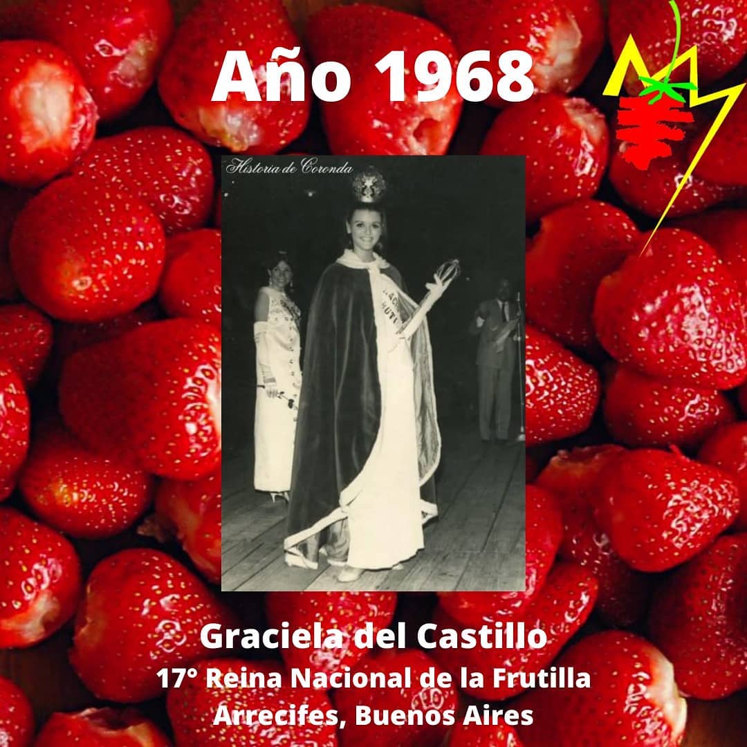 Queen 43